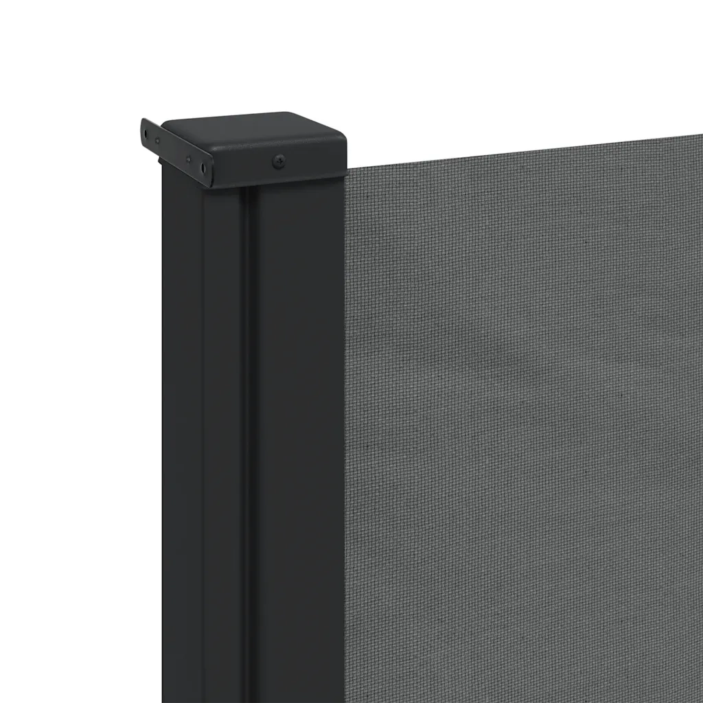 Tenda da Sole Laterale Retrattile-Tenda parasole per balcone antracite 117x300 cm
