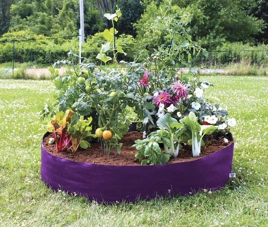 Piatto di fioritura elevato in tessuto - mini viola con sistema di rete