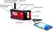 Radio multifunzione - radio AM/FM - lampada da tasca con dinamo - batterie ricaricabili - cavo USB
