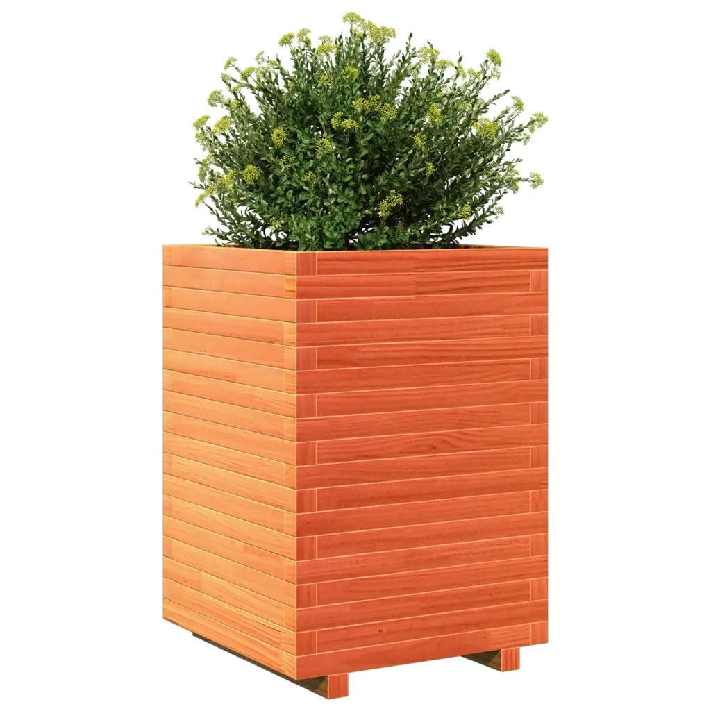 Fioriera Giardino Marrone Cera 50x50x72 cm Legno Massello Pino