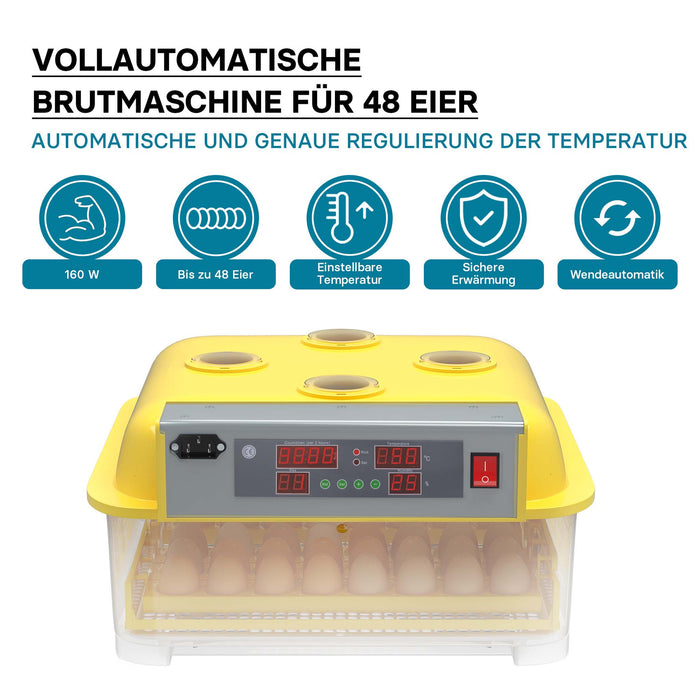 Incubatrice automatica per 48 uova, con regolazione temperatura e umidità, Covatrice