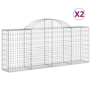 Cesti Gabbioni ad Arco 2 pz 200x30x80/100 cm Ferro Zincato