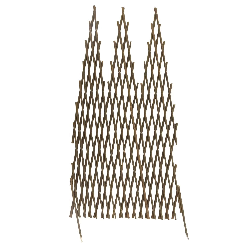 Recinzione a Traliccio 5 pz 170x75 cm in Salice 147794