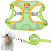 Custodia per cani di piccola taglia Plus - Resistente alle parassiti e riflettente per la sicurezza - Inclusa cintura per cani