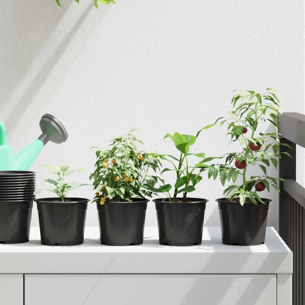 Fioriere | Cassetta per fiori | Vaso Rotondo per Fiori 50 pz Nero ? 10 x 8 cm Plastica