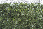 Siepe in foglia edera 1.5x3