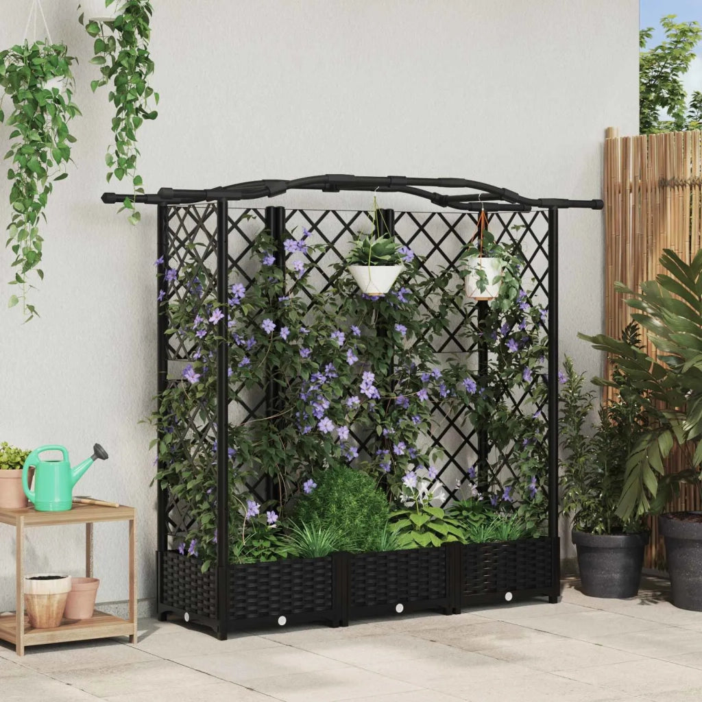 Letto Rialzato con Griglia e Tetto Nero 163 x 40 x 126 cm PP