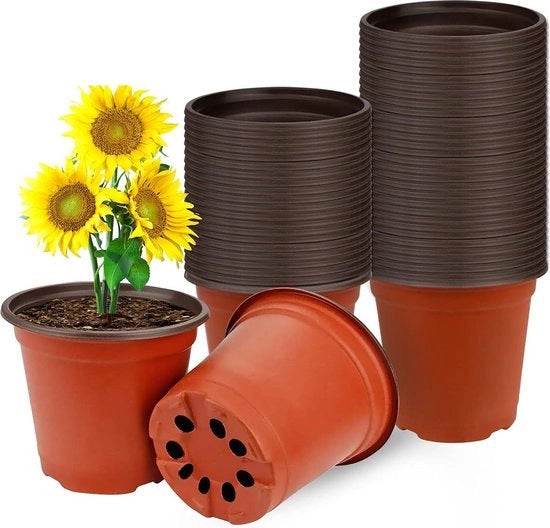 50 contenitori di pianta in plastica, piantagione multifunzionale, contenitore per semi pratico per seme e coltivazione, ideale per giardini di erbe in interni e esterni