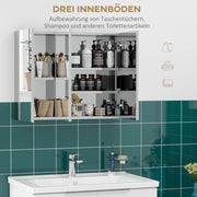 ARMADIETTO DA BAGNO SPECCHIERA A PARETE 70x12x55 cm Acciaio Argento