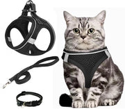 Cinturone di sicurezza per cani versatile - Antitrazione - Cinturino leggero - Comfortevole - Attrezzo per cani