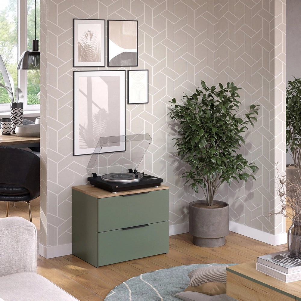 Vicco Cassettiera per camera da letto Verde 60 x 50 cm con 2 cassetti