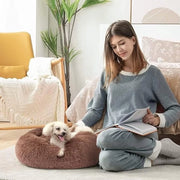 Letti per animali, Letto per cane e gatto, Disponibile in doppia versione, Matrimoniale per cani e gatti 

Specifica: 60x80 cm, 7 cm di spessore, materiale: poliuretano, colore: beige, peso: 5 kg.
