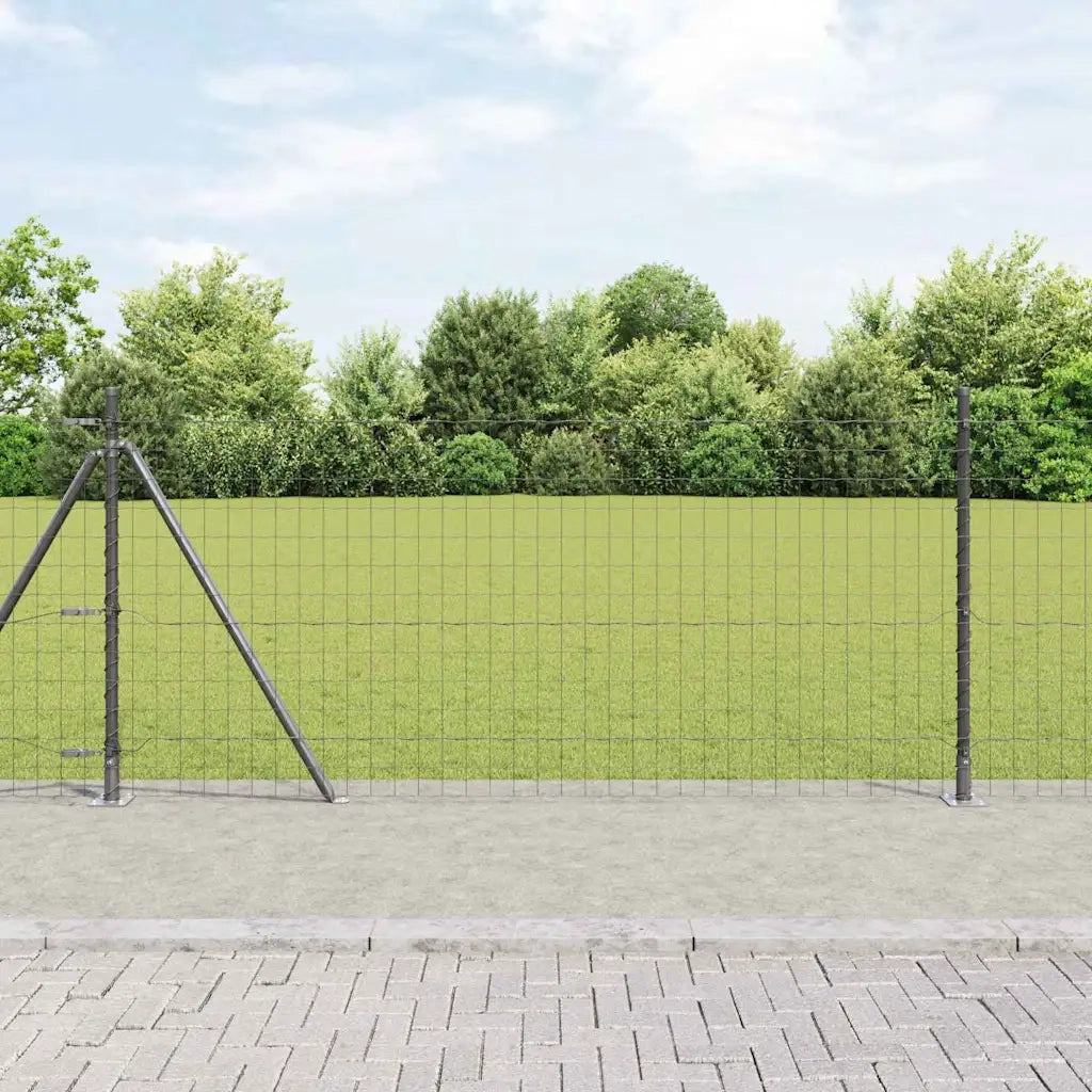 Recinzione con Posto Grigio 1 x 25 m Acciaio
