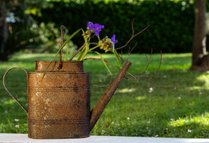 Annaffiatoio Metallo H 43 cm