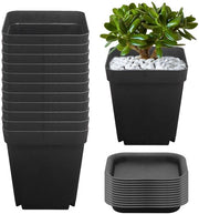Piantine in plastica 12 pezzi - 7,5×7×5,1CM - vasi per piante - vasi per semi - sottopentola - resistenti con fori per drenaggio - vaso per piante