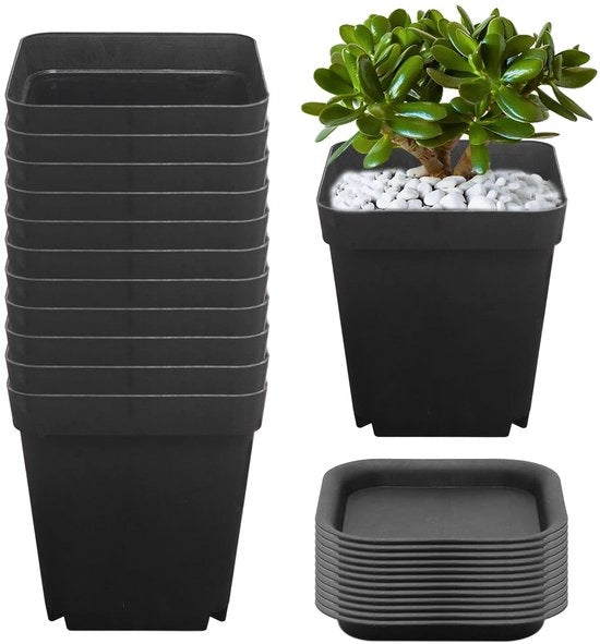 Piantine in plastica 12 pezzi - 7,5×7×5,1CM - vasi per piante - vasi per semi - sottopentola - resistenti con fori per drenaggio - vaso per piante