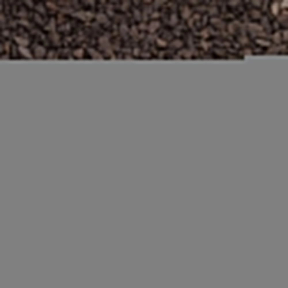 Seachem Flourite ( Substrato per Acquari d'acqua Dolce con Piante) Formato: 7 Kg, Colore: Dark
