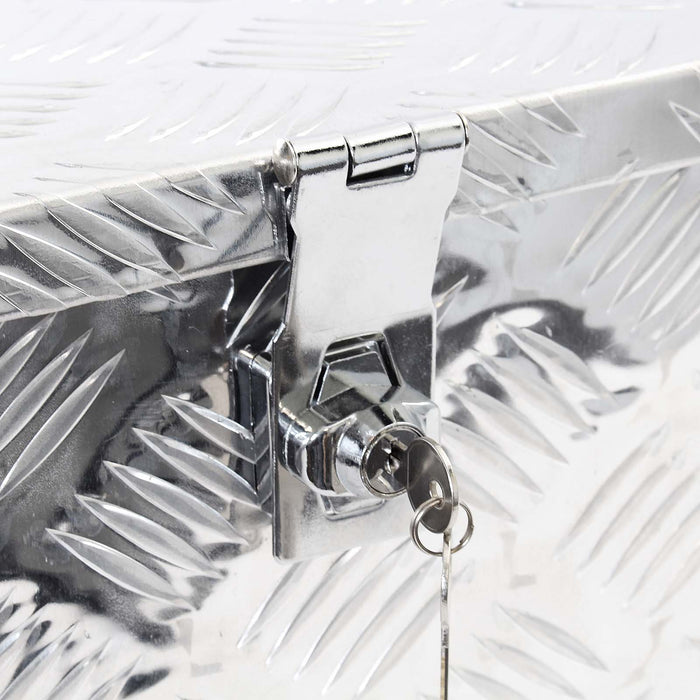 Cassetta porta attrezzi camion in alluminio 60 x 25 x 30 cm Baule sottoscocca