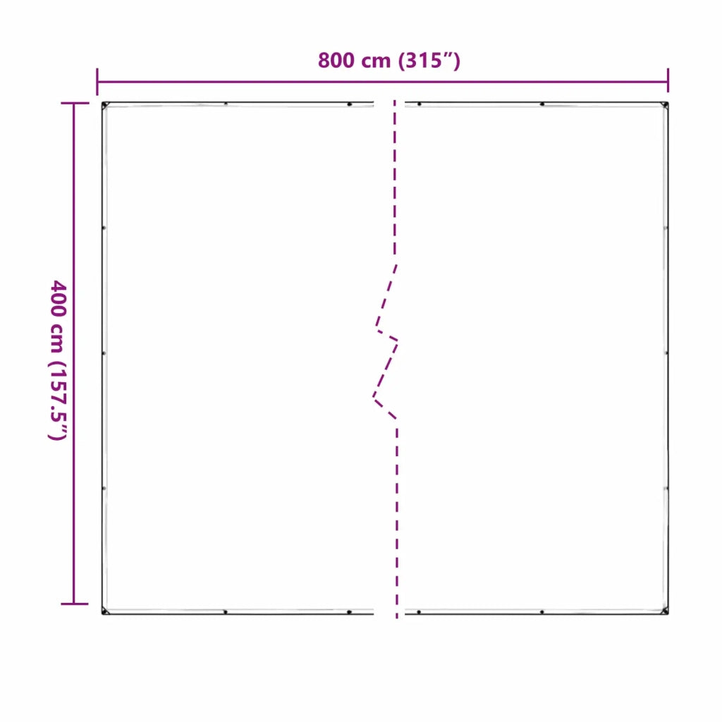 Copertura per Piante Trasparente 4 x 8 m PVC CFW4286260