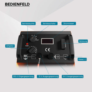 Caricabatterie 12V e 24V Boost 630 Caricatore per batterie piombo acido AGM