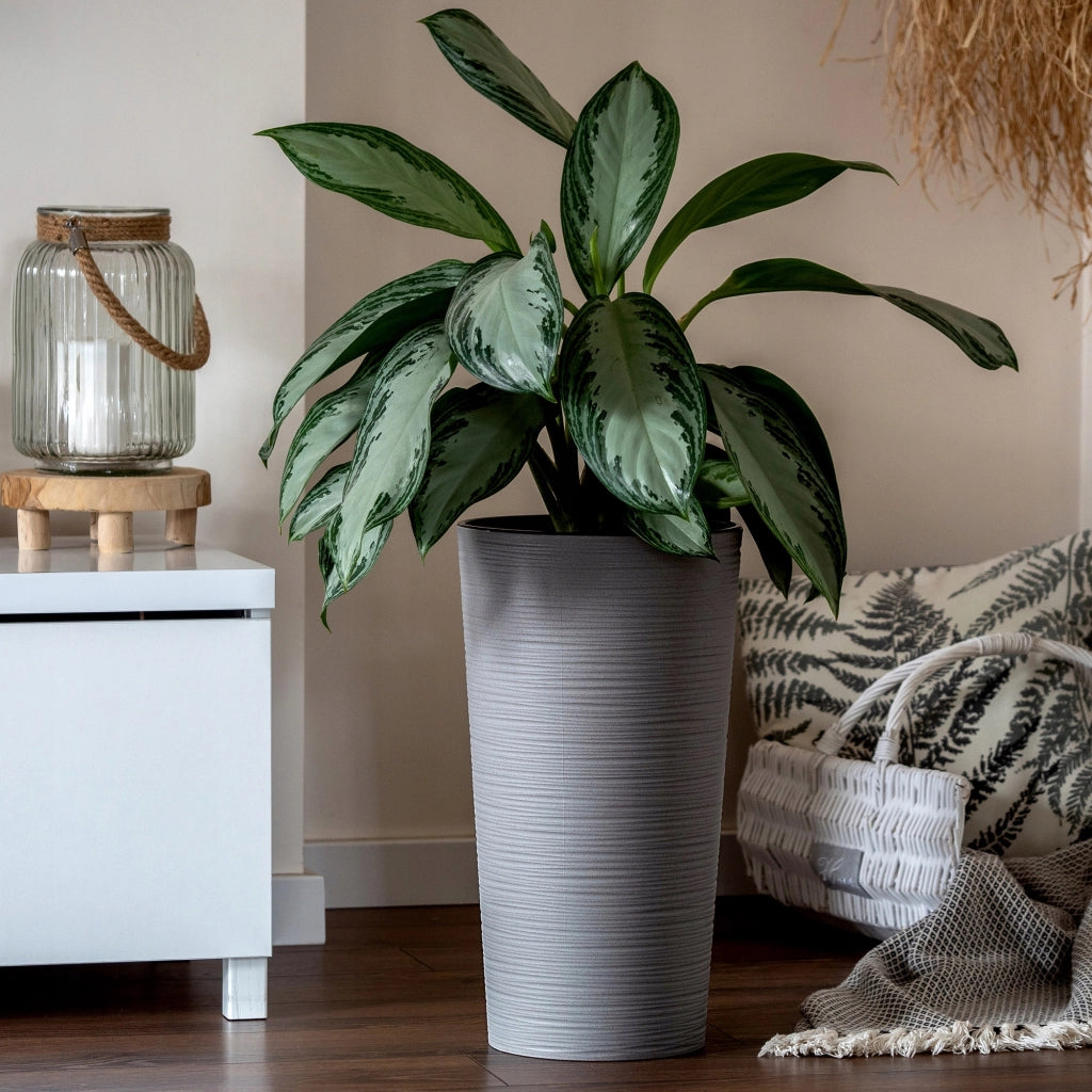 Vaso da fiori KADAX, alto, 47 cm, con inserto, per soggiorno, grigio