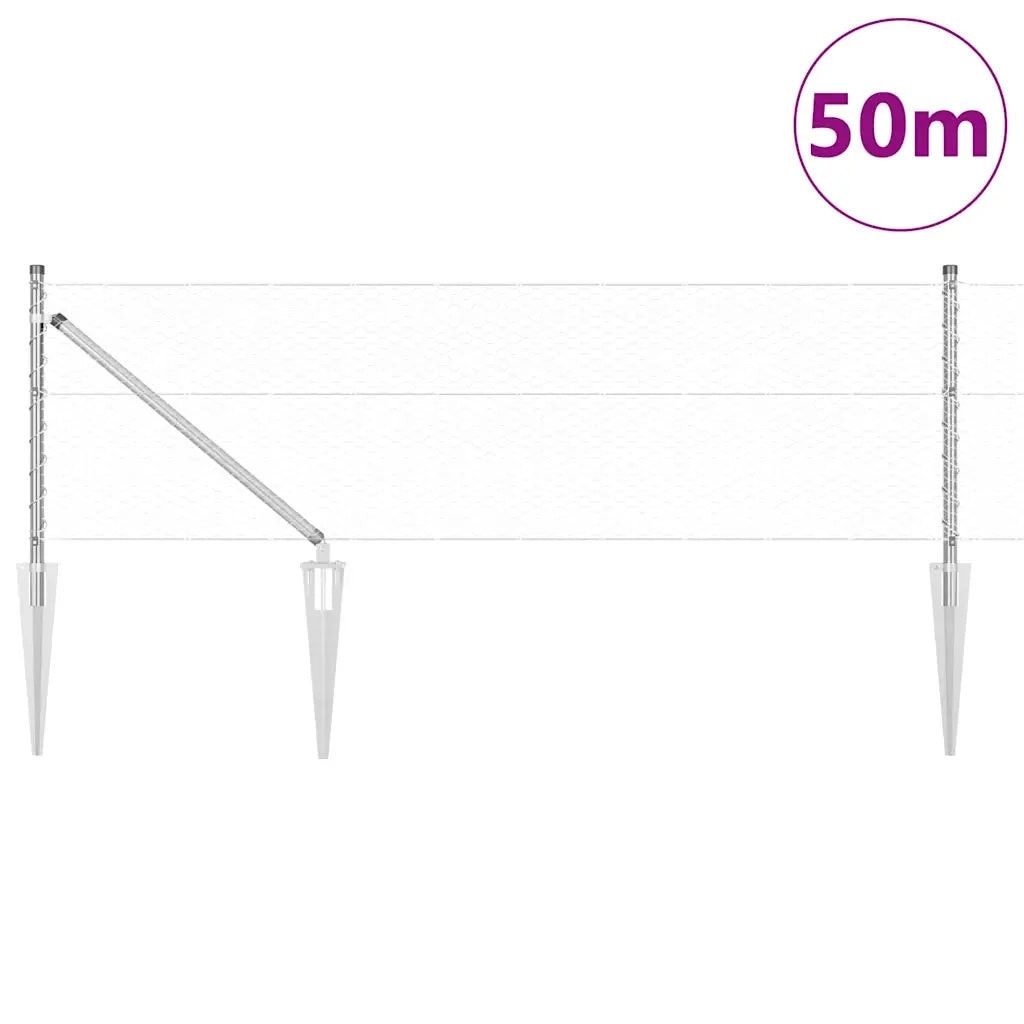 Palo della recinzione Argento 50 x 0,6 m (maglia da 25 mm)