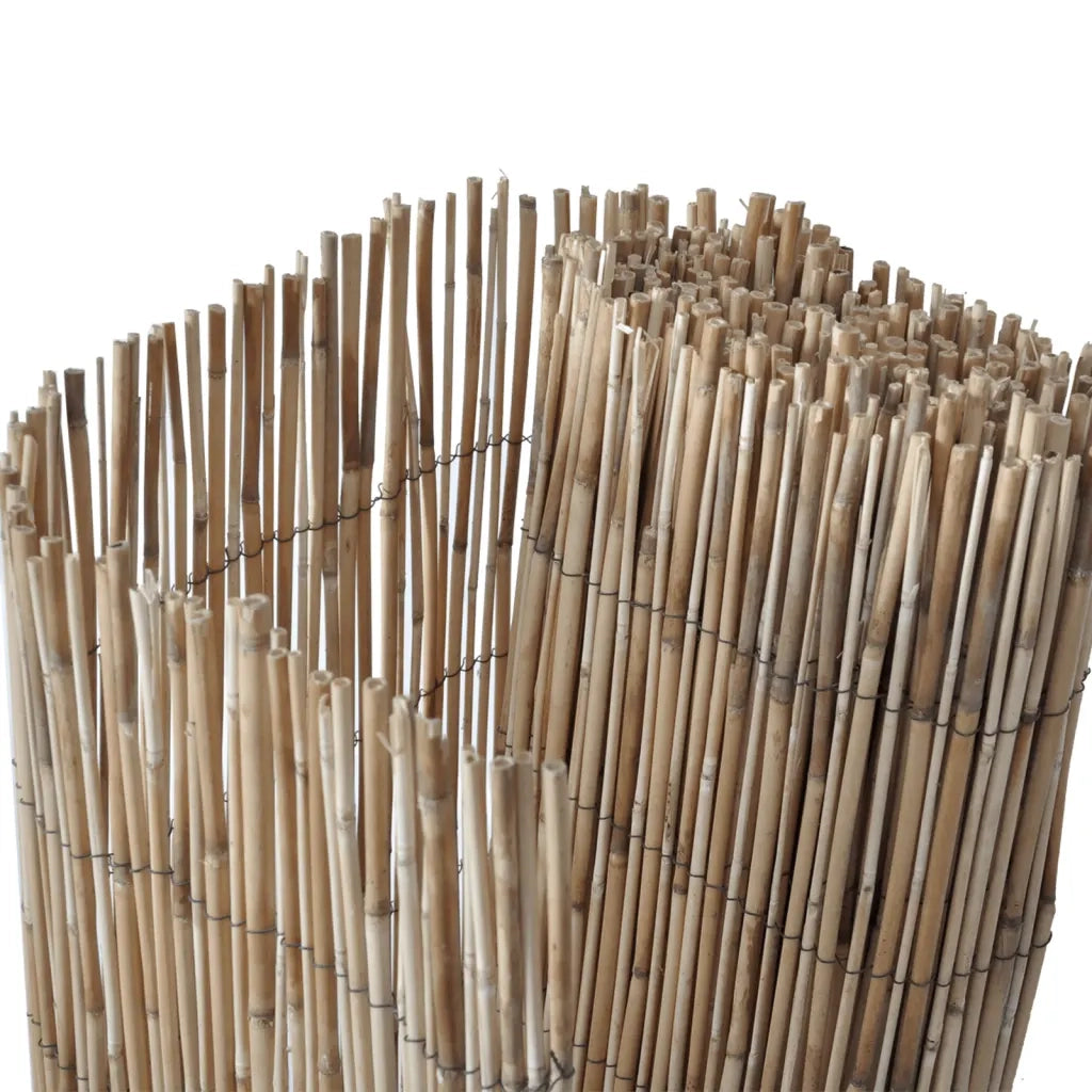 Recinzione da Giardino 500x80 cm Giunco