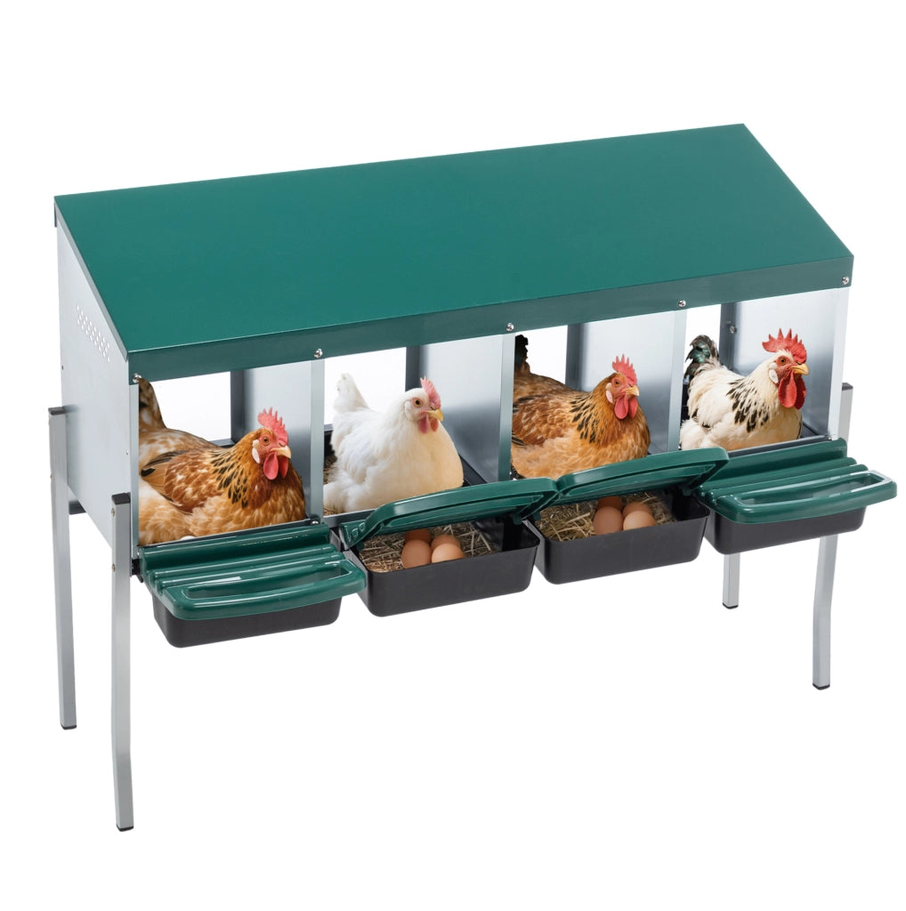 Nido per galline a 4 scomparti con gambe e copertura verde