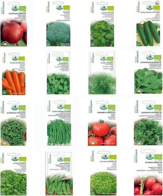 Collezione Semi di Erbe e Verdure - Set di 16 Pacchi - Kit di Avvio per Piante - Pianta di Giardino Semi - 16 Varie Specie - Box di Semi