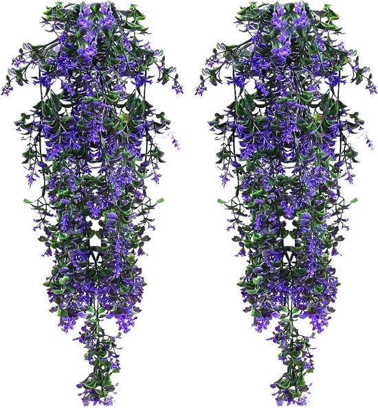 Piante ornamentali appese - Piante di Nep - Decorazione di balcone - Resistente al tempo - 70 cm - Blu viola