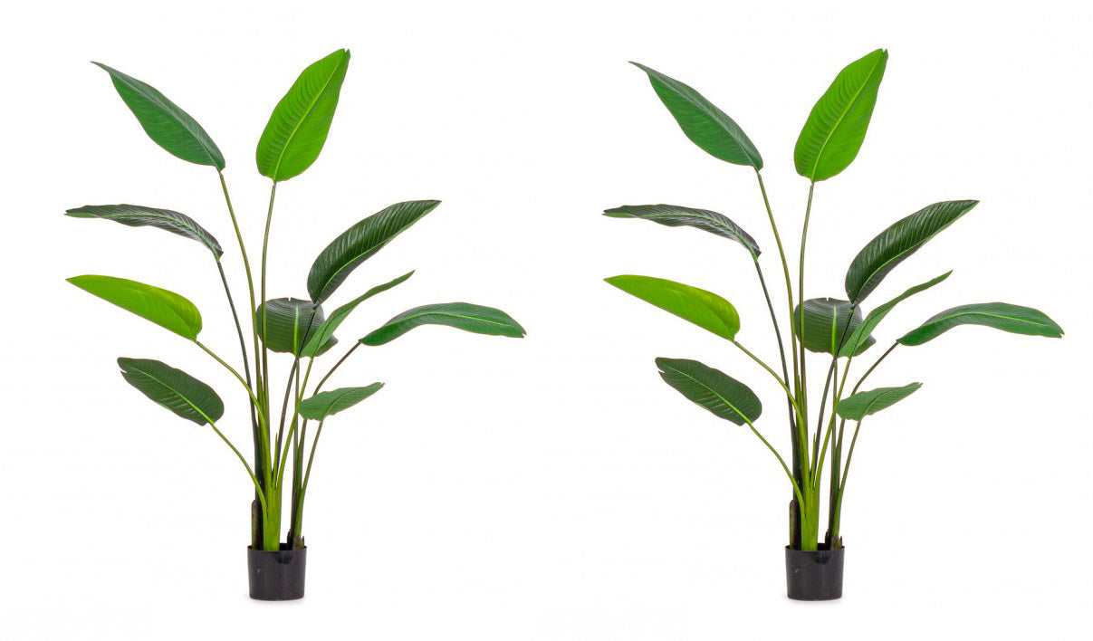 Set 2 Piante Artificiali Strelitzia 90x80x150 cm in Plastica con Vasi Verde