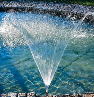 Pompa per Laghetto e Fontane con Gioco d’Acqua a Ventaglio