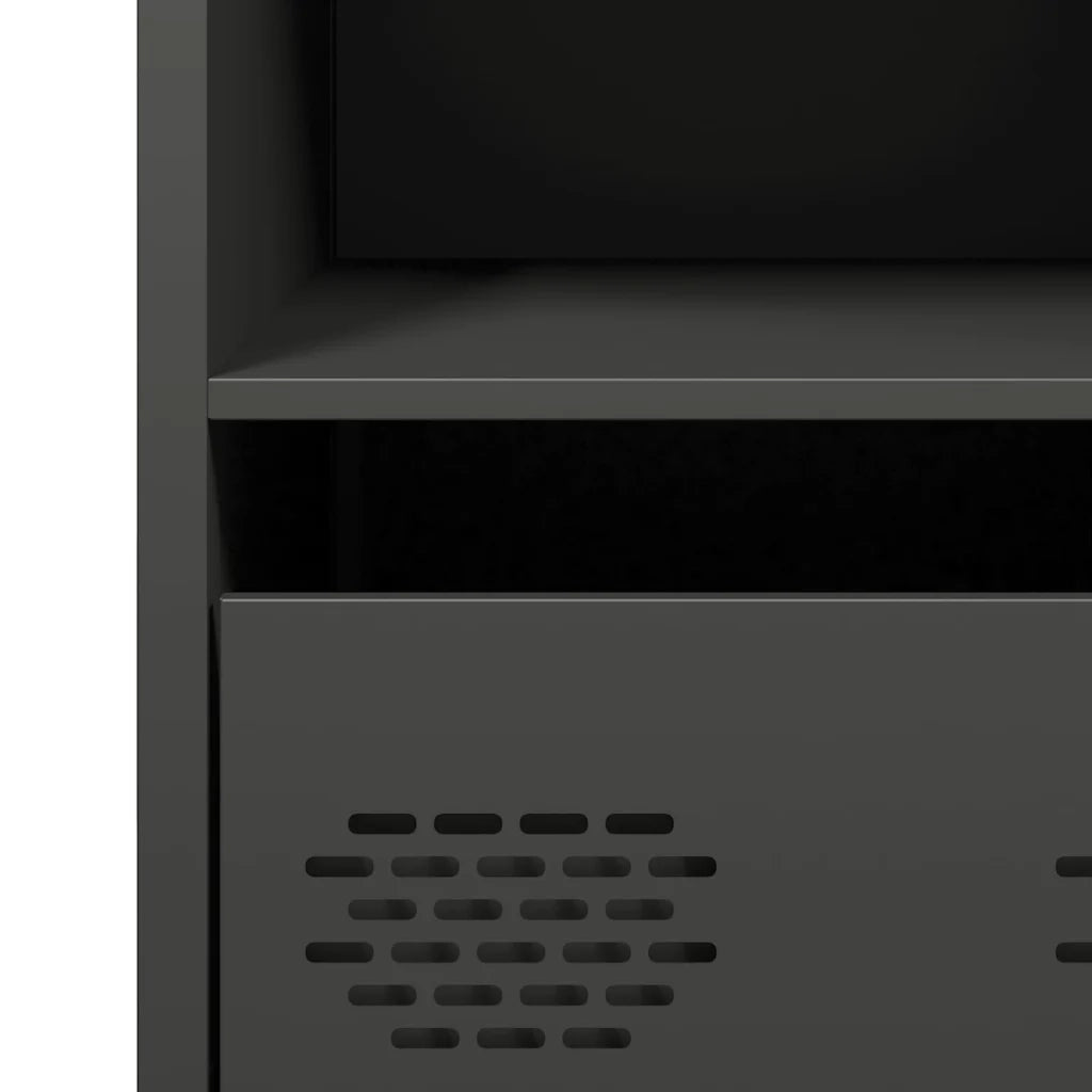 Credenza | Madia | Buffet da pranzo | Armadio da pranzo Nera 35x39x73,5 cm in Acciaio Laminato a Freddo