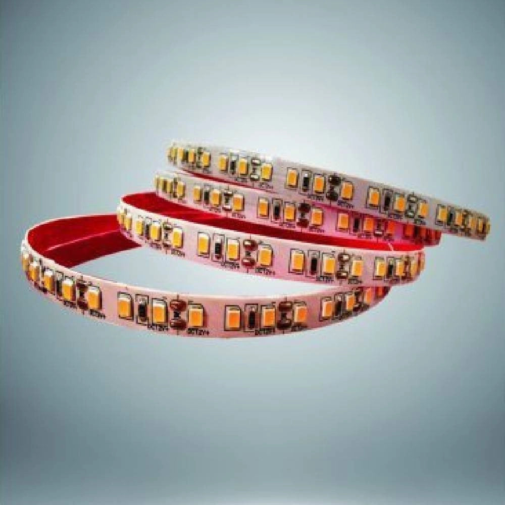 Trade Shop - Striscia Led 2835 Strip Bobina 10 Metri 24volt 100 Watt Adesivo 2835-24v-10m-120 - -bianco Caldo      -