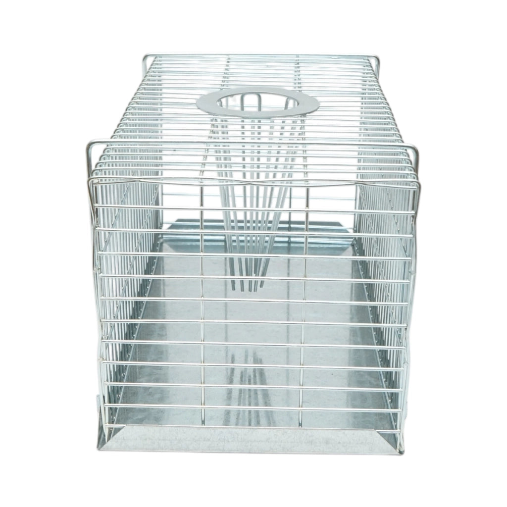 Trappola metallica a gabbia per ratti e topi, dimensioni 31x15x16,5 cm.