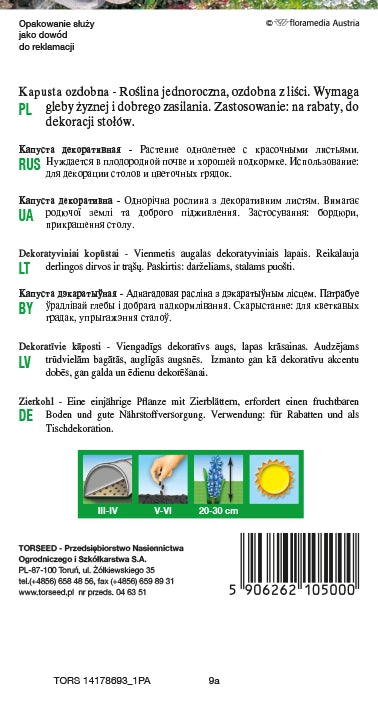 Cavolo ornamentale - Brassica oleracea con foglie colorate e "sfrangiate" 0,5 g