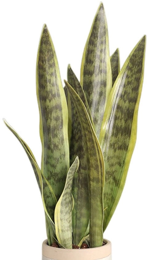 Pianta di Sansevieria in Kunst, 41,9 cm, per Decorazione di Ufficio e Casa, Senza Vaso, 3-Pack, Verde