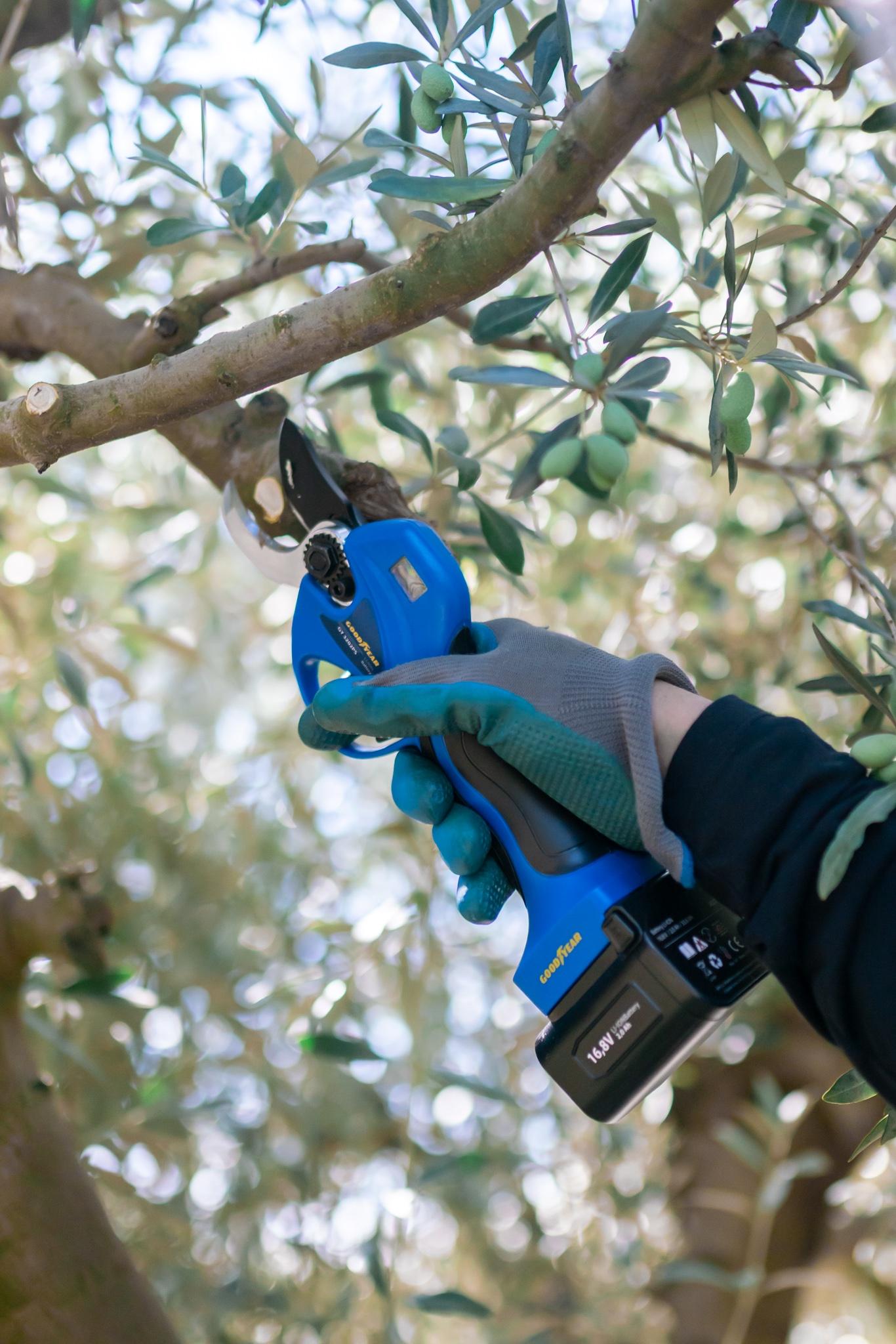 Forbici da potatura elettriche 16.8V LI-ION 2Ah. Diametro di taglio 25-32mm. Potenza di taglio 840W Goodyear