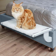 Sedia per Gatti con Letto e Riscaldamento | Cuscino per Gatti fino a 16 kg | 56 x 34,5 cm.