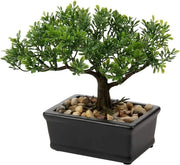 Arbusto di bonsai in ceramica per decorazione interna ed esterna