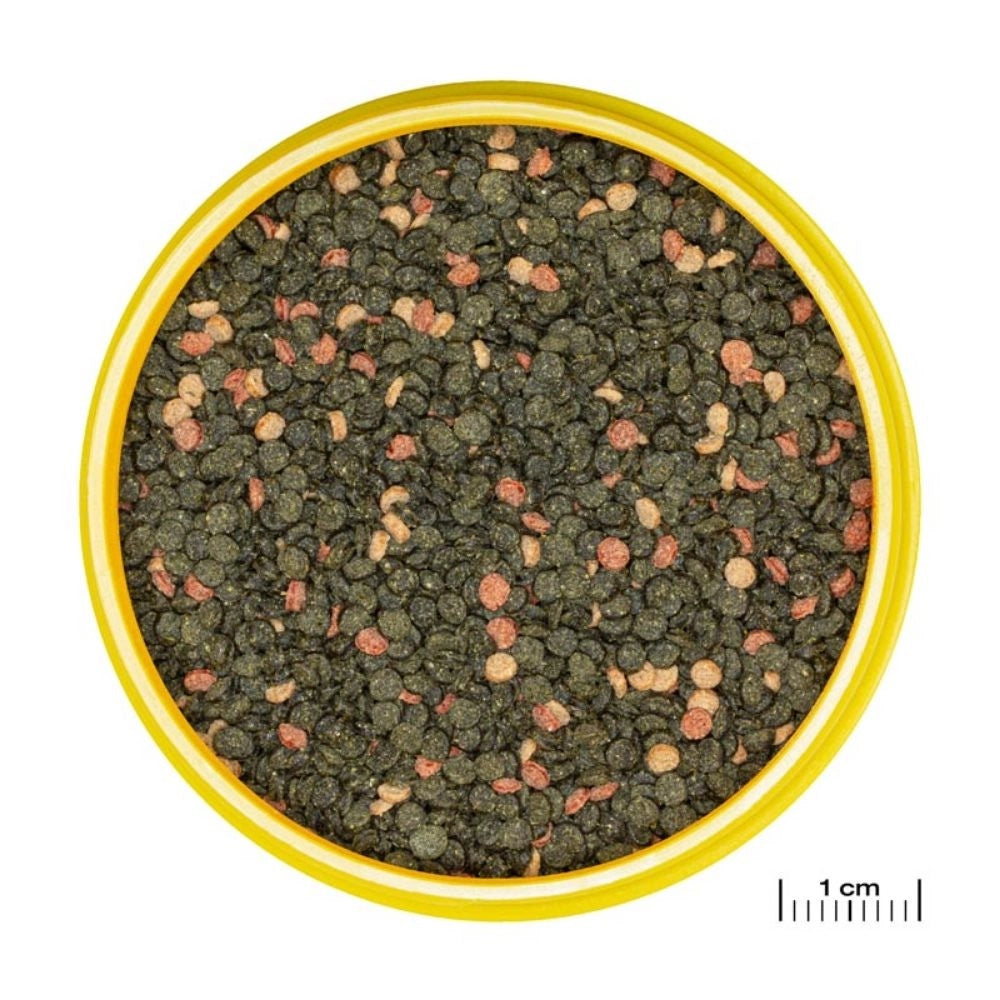 JBL ProNovo Malawi Grano M - granulato per Ciclidi da 8 a 20cm Formato: 250 ml