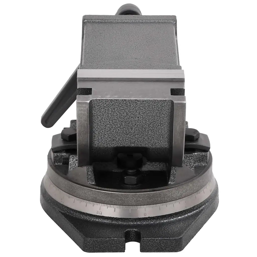 Morsa Inclinabile a 2 Assi 100 mm 145390