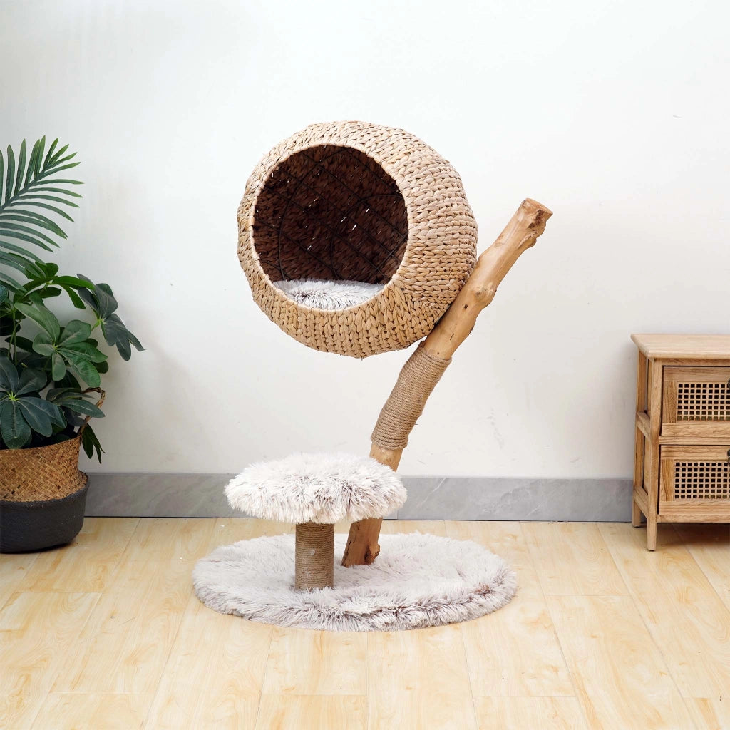 Fudajo Designer Albero tiragraffi design a rami 83 cm con cestino in peluche