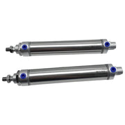 IONQXIDLD Minicilindro in Acciaio Inox Serie DSEU