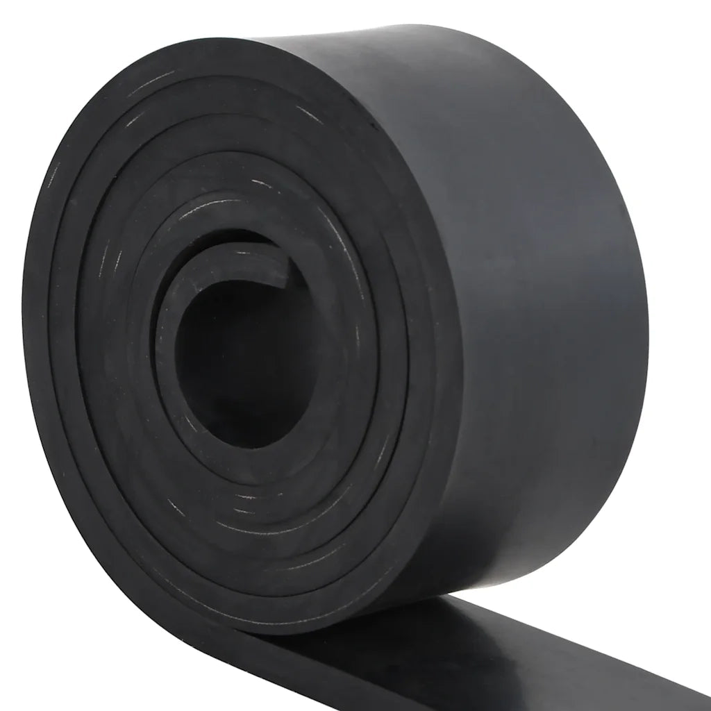 Bordo in Gomma per Spazzaneve Nero 250x8x1 cm 4103515