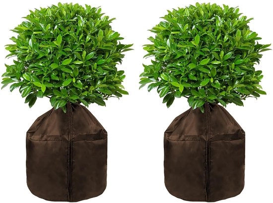 Copertura invernale per piante 65 x 70 cm - Protezione dal gelo - Casotto per piante con cavo di trazione - Impraticabile - Robusto - Qualità alta 210D tessuto Oxford