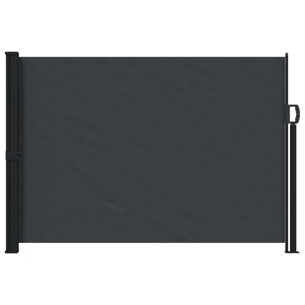 Tenda laterale retrattile Nero 300 x 170 cm Poliestere 42035423