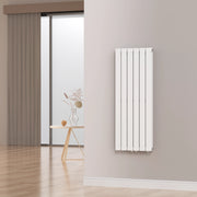 Termosifone Nore ad Acqua Calda Pannello Doppio con Elementi Piatti 120 x 45 cm Bianco [neu.haus]