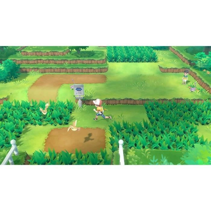 Pokemon andiamo Pikachuswitch