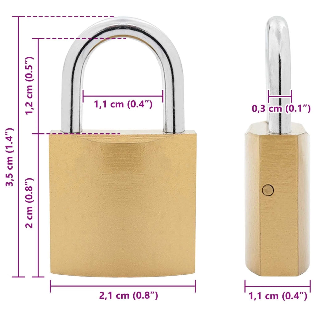 U Lock con Chiavi 2 pz Ottone Ferro CFW4152221
